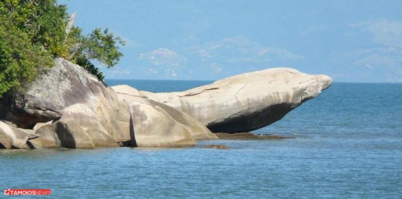 Apto Lindo E Aconchegante Com Piscina 202A Карагуататуба Екстер'єр фото